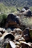 photo thumbnail #3