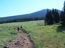 photo thumbnail #1