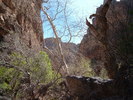 photo thumbnail #4