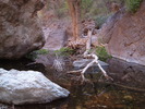 photo thumbnail #8