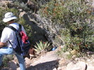 photo thumbnail #3