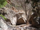 photo thumbnail #14