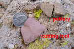 photo thumbnail #14