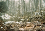 photo thumbnail #10