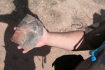 photo thumbnail #8
