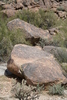 photo thumbnail #14