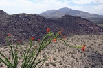 photo thumbnail #7