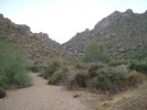 photo thumbnail #1