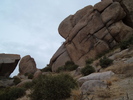 photo thumbnail #11