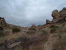 photo thumbnail #13