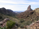photo thumbnail #5