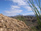 photo thumbnail #4
