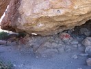 photo thumbnail #3