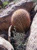photo thumbnail #15