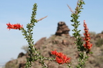 photo thumbnail #6