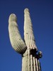photo thumbnail #6