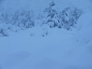 photo of comment