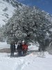 photo of comment