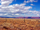 photo of comment