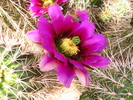photo thumbnail #7