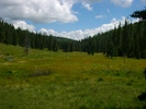 photo thumbnail #9