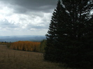recent photo