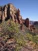 photo thumbnail #15