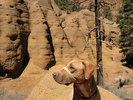 photo thumbnail #1