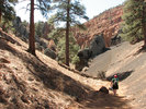 photo thumbnail #5
