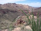 photo thumbnail #9