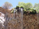 recent photo