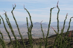 photo thumbnail #3