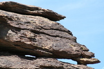 photo thumbnail #9