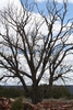 photo thumbnail #15