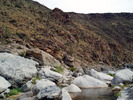 photo thumbnail #7