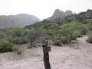 photo thumbnail #4
