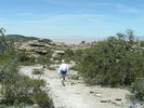photo thumbnail #4