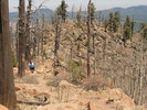 photo thumbnail #4