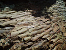 photo of comment