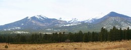 photo thumbnail #5