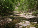 photo thumbnail #8