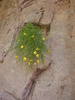 photo of comment