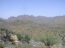photo thumbnail #1