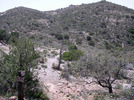 photo thumbnail #4