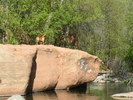 photo thumbnail #4