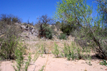 photo thumbnail #3