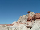 photo thumbnail #2