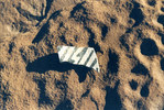 photo thumbnail #1