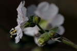 photo thumbnail #15