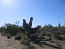 photo thumbnail #4